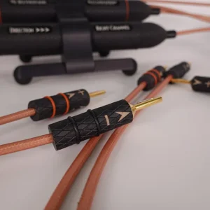 Illumination Speaker Cable